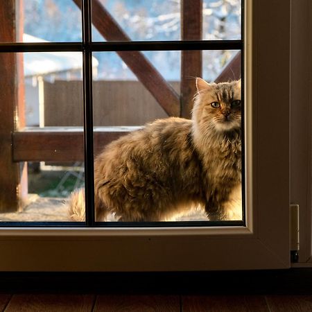 Villa Мигово Гражда Esterno foto